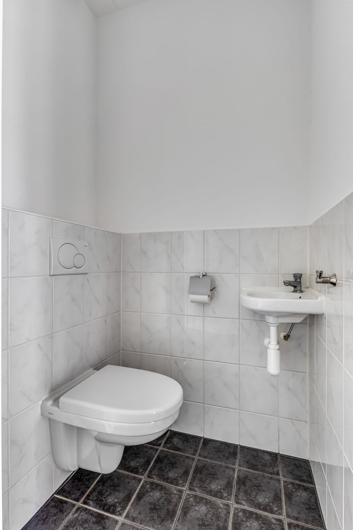 Foto 14 van Knoopkruid 7