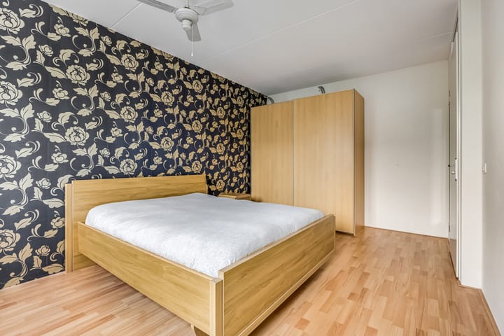 Foto 23 van Knoopkruid 7