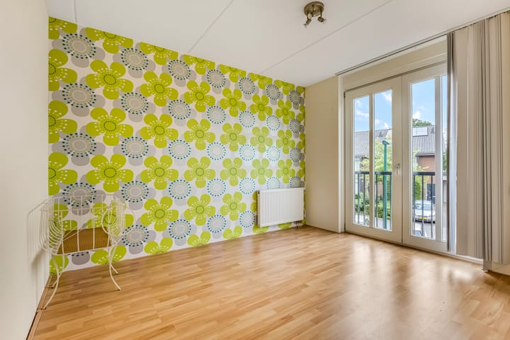 Foto 24 van Knoopkruid 7