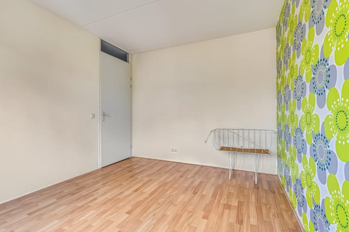 Foto 25 van Knoopkruid 7