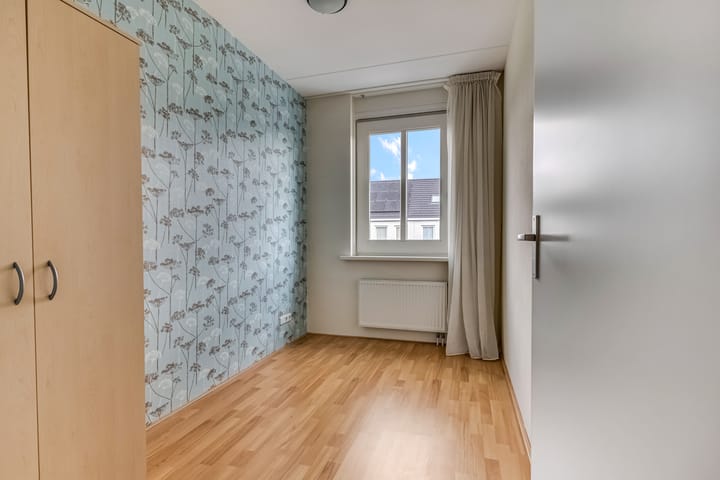 Foto 27 van Knoopkruid 7