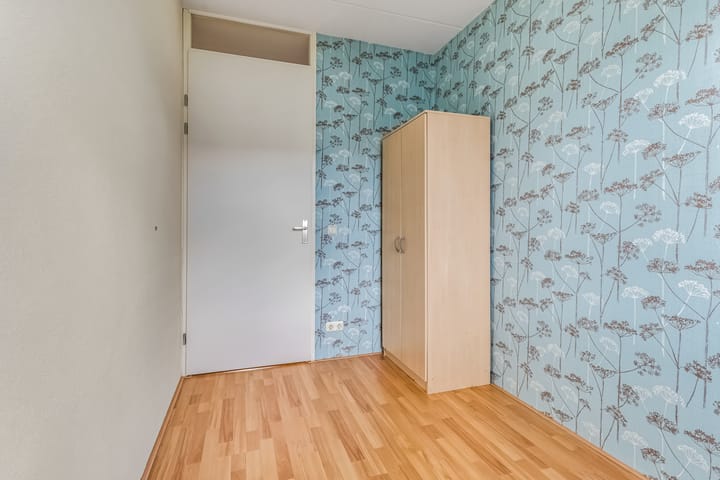 Foto 28 van Knoopkruid 7