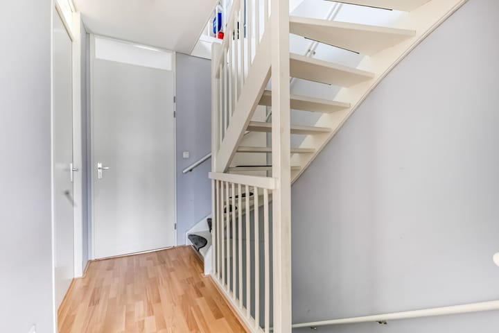 Foto 32 van Knoopkruid 7