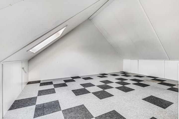 Foto 33 van Knoopkruid 7