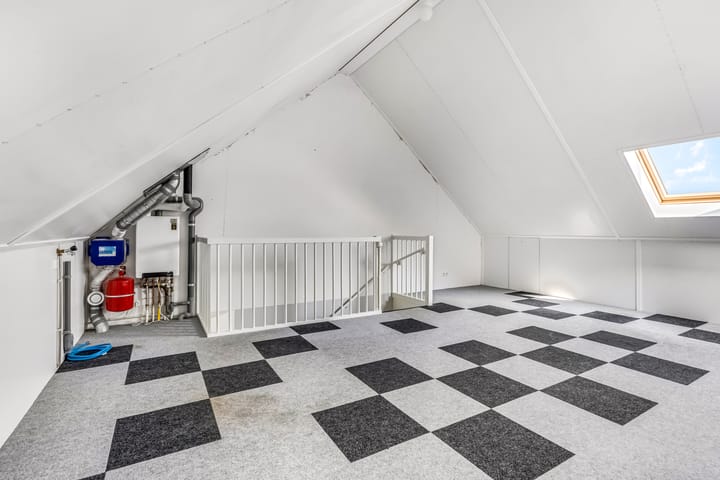 Foto 34 van Knoopkruid 7