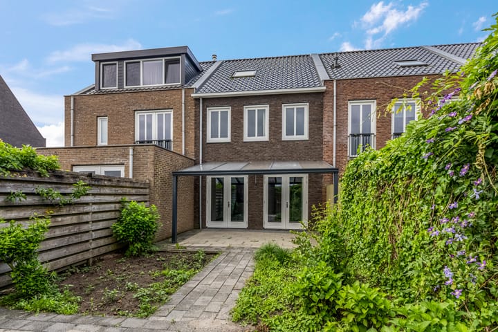 Foto 35 van Knoopkruid 7