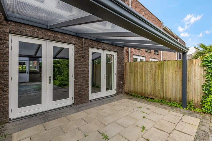 Foto 37 van Knoopkruid 7