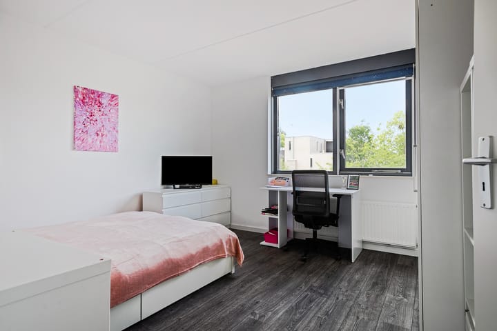 Foto 27 van Spitsbergen 83