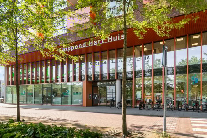 Foto 37 van Hootsenheem 9