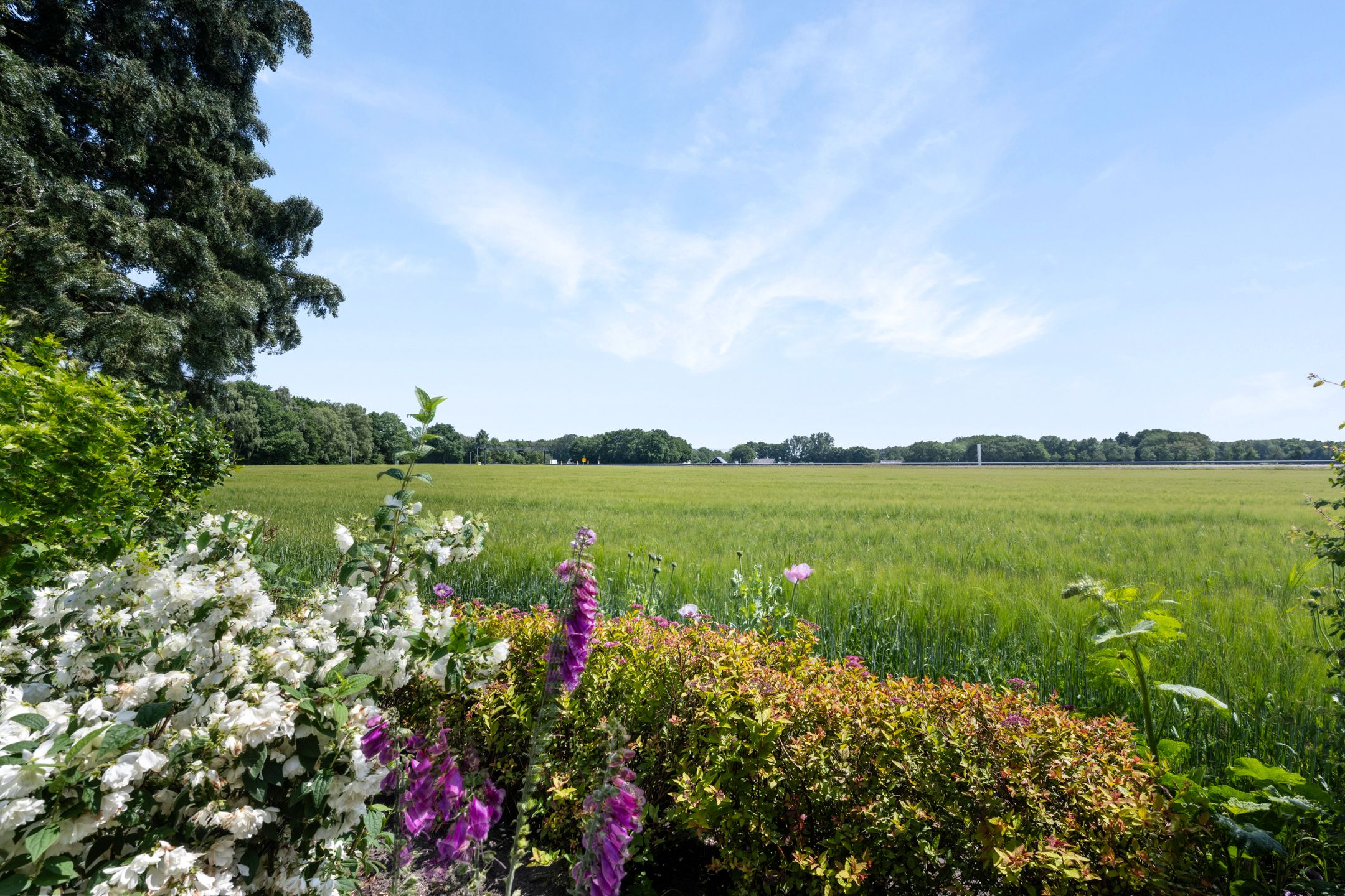 Foto 66 van Keurnotenlaan 9