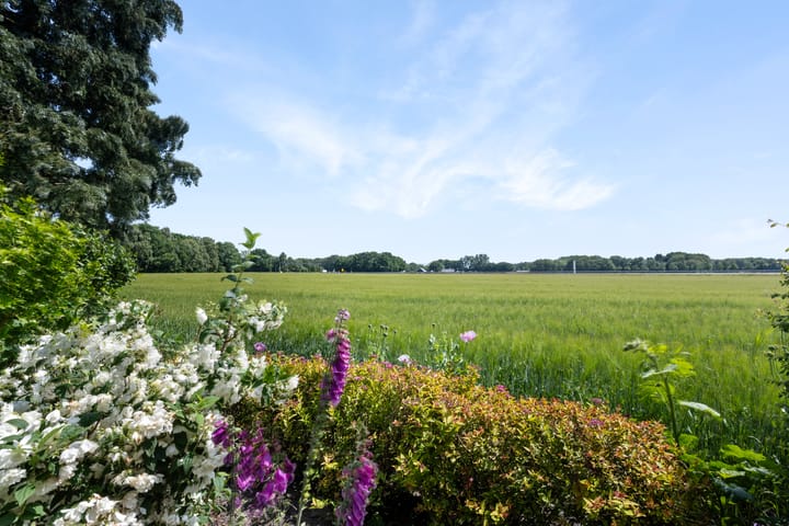 Foto 66 van Keurnotenlaan 9