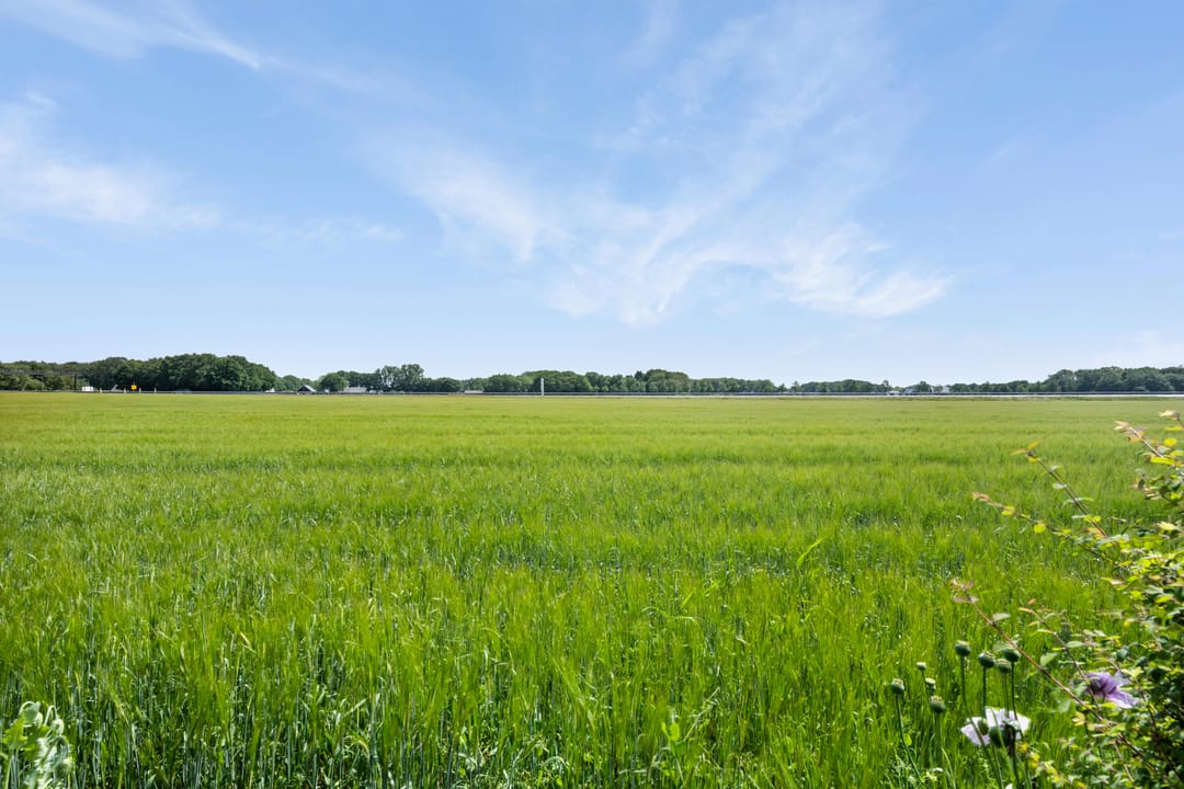 Foto 67 van Keurnotenlaan 9