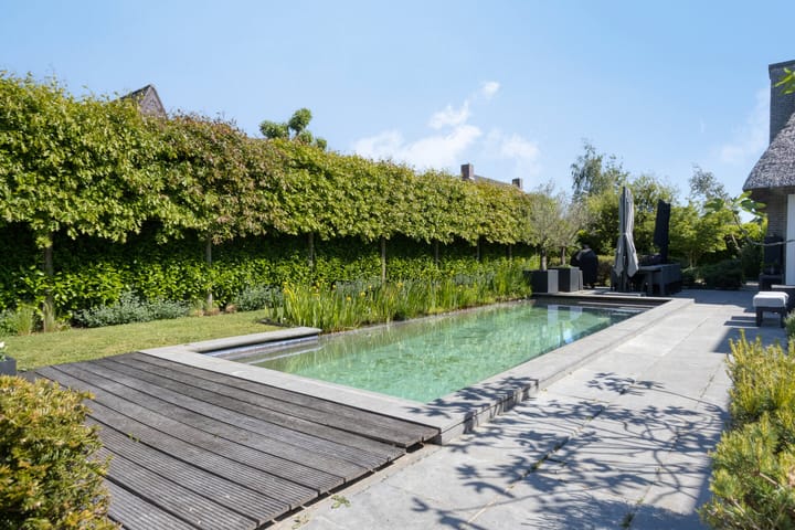 Photo 4 of Willy van den Berkstraat 7