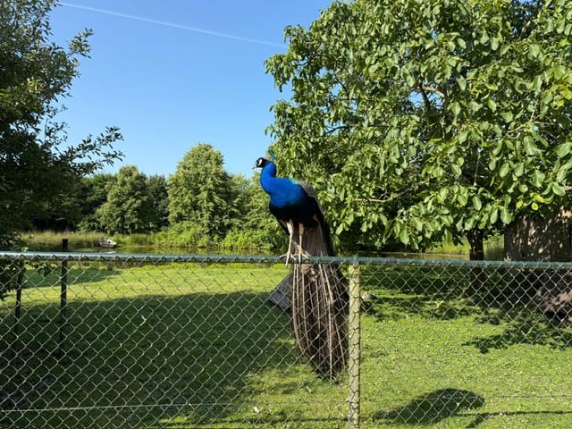 Foto 2 van Kamperweg 5