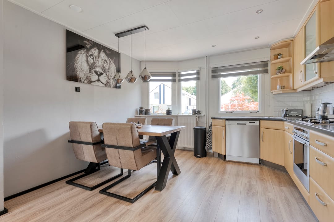 Foto 11 van H Roland Holstln 21