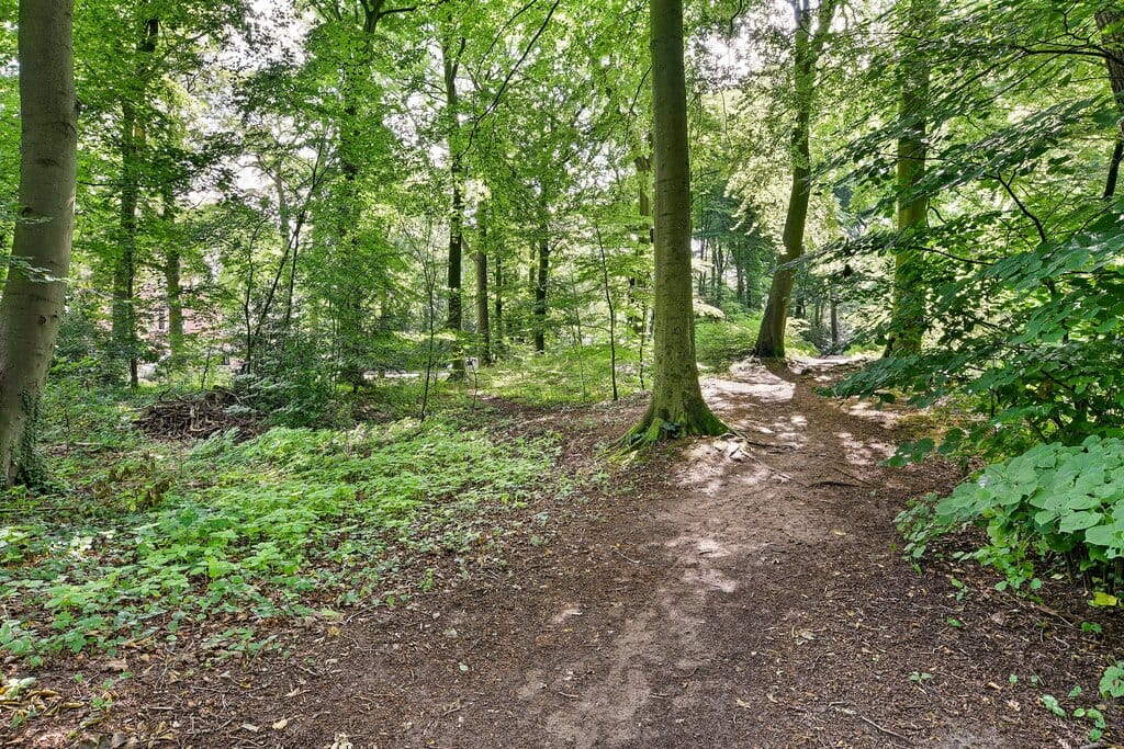 Foto 31 van Mollaan 1-B