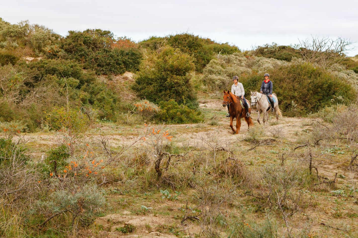 Foto 35 van Mollaan 1-B