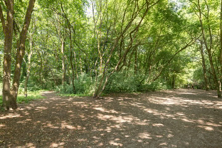 Foto 45 van Siriusstraat 16