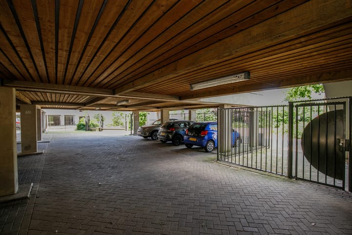 Foto 49 van Maria Danneels erf 88