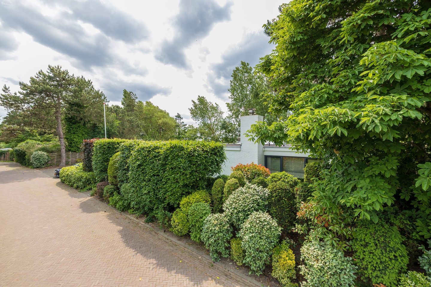 Foto 44 van Berkenlaan 7