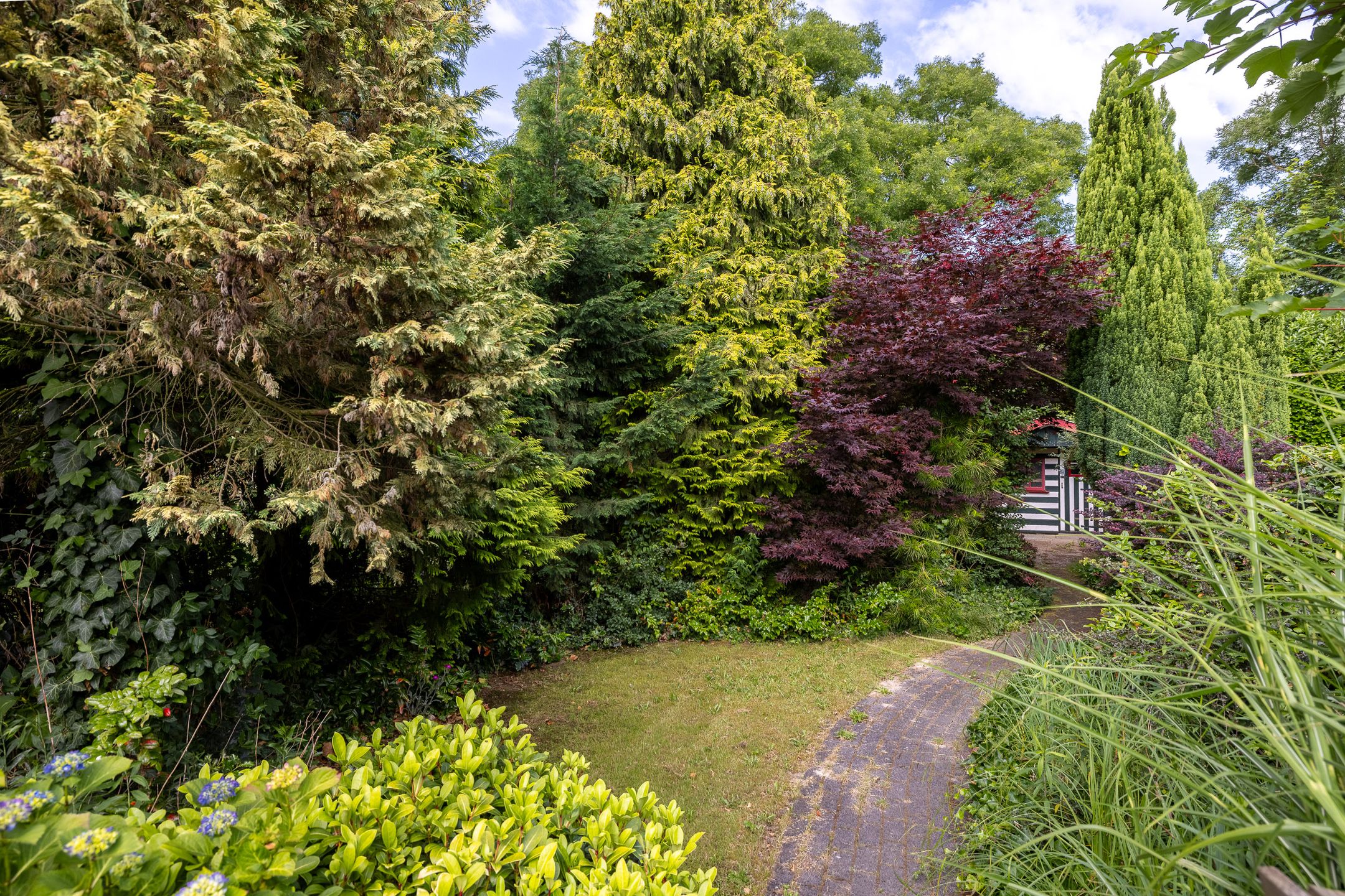 Foto 15 van Haareweg 59