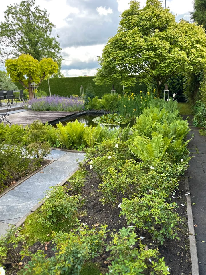 Photo 42 of Markiezenlaan 28