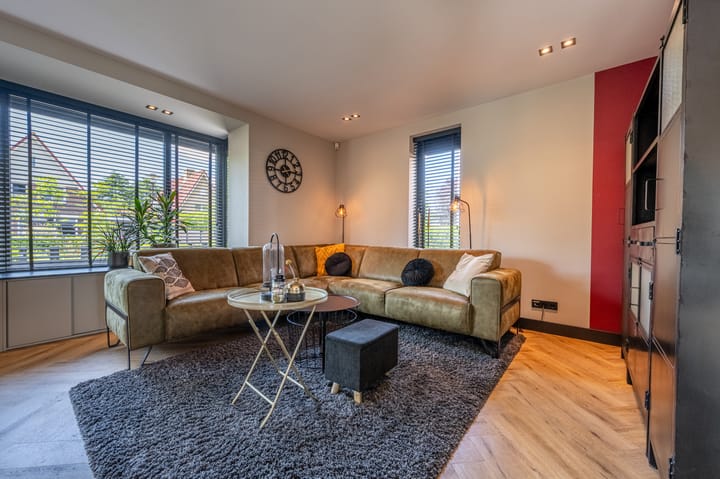 Foto 4 van Mandoline 1