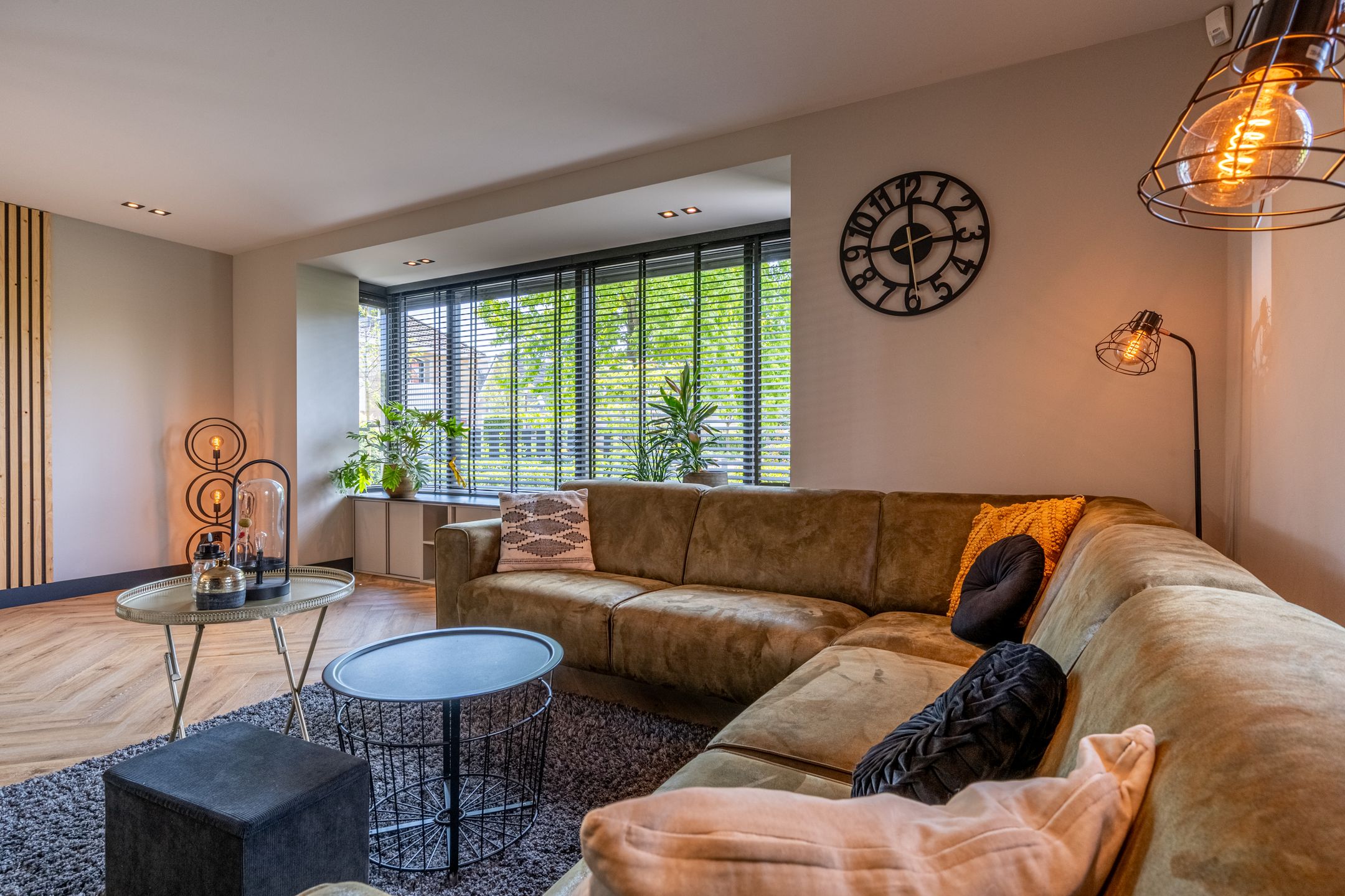 Foto 6 van Mandoline 1