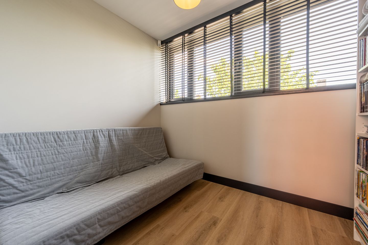 Foto 34 van Mandoline 1