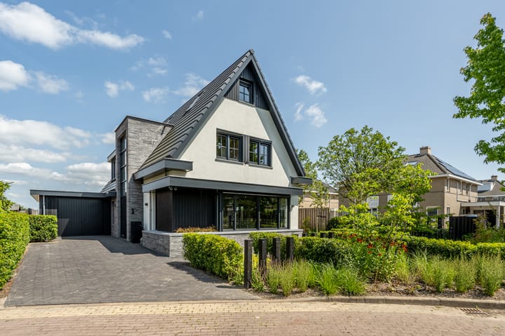 Foto 3 van Mandoline 1