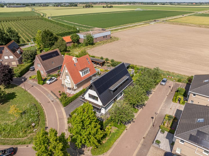 Foto 2 van Mandoline 1