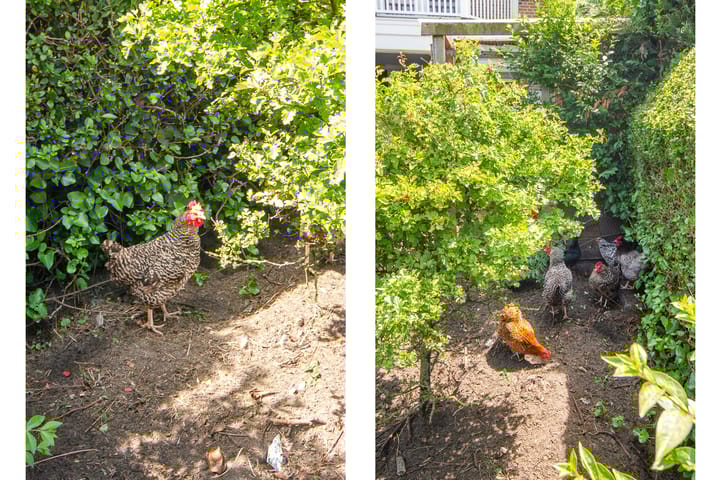 Foto 46 van Veermolenweg 10