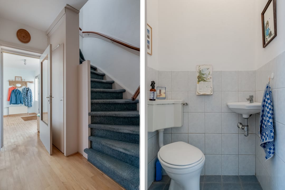 Foto 23 van Klimop 1