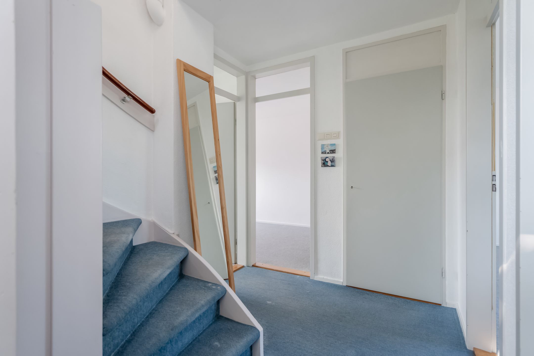 Foto 24 van Klimop 1