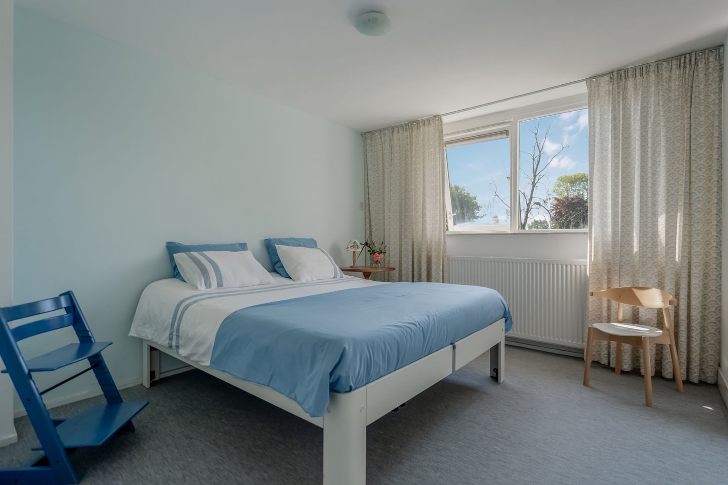 Foto 25 van Klimop 1