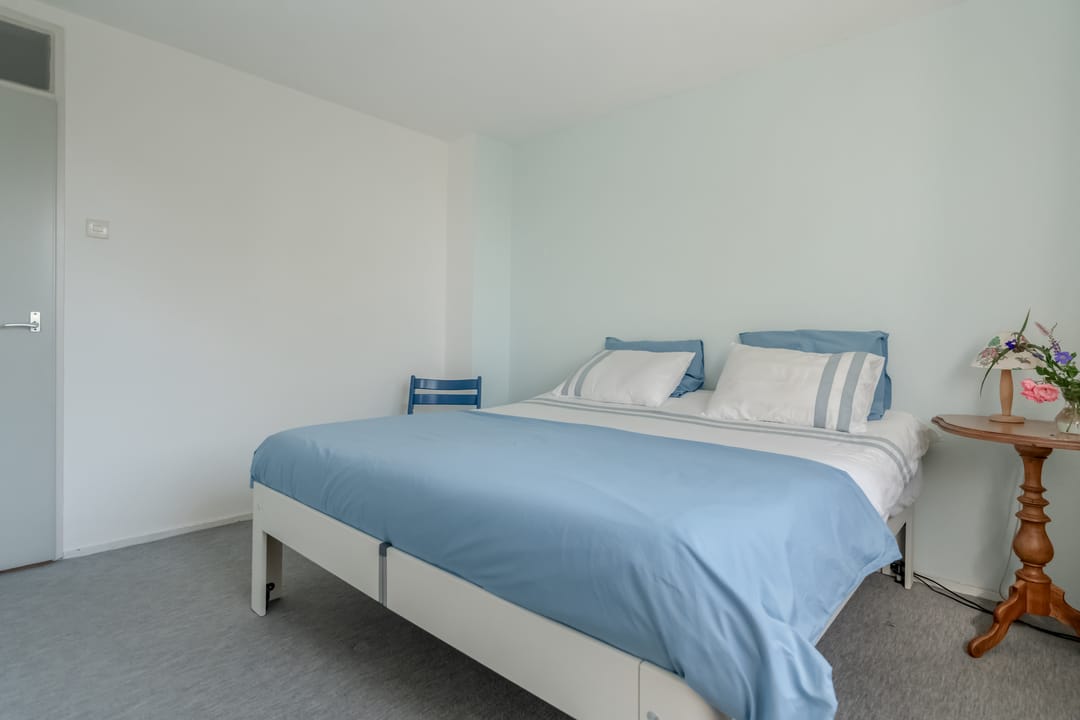 Foto 26 van Klimop 1