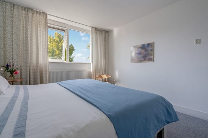 Foto 27 van Klimop 1