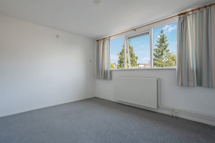 Foto 28 van Klimop 1