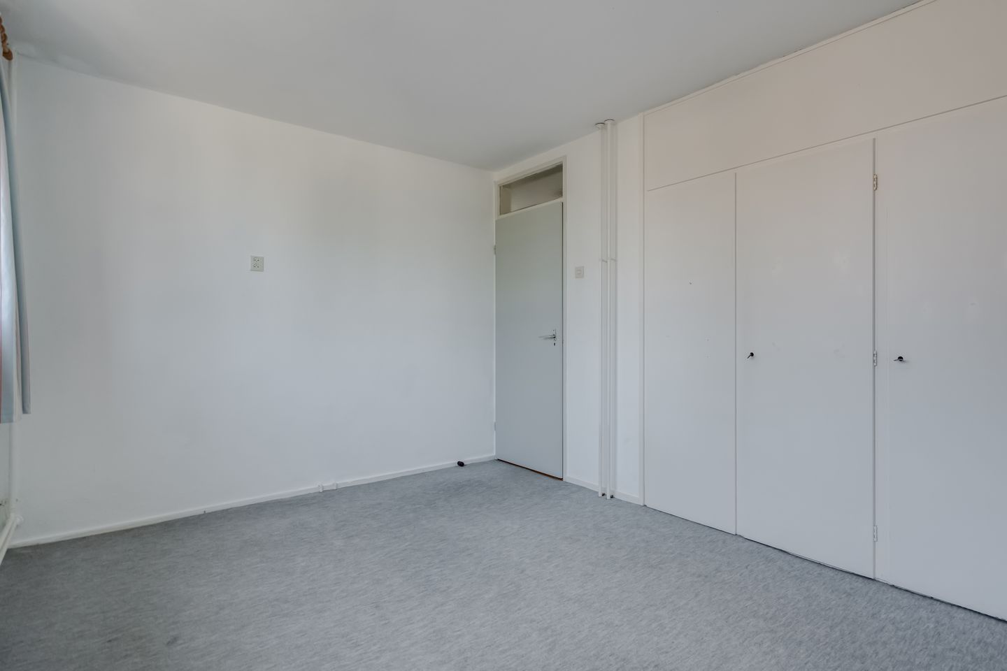 Foto 29 van Klimop 1