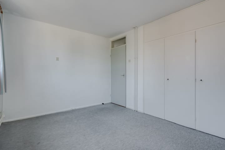 Foto 29 van Klimop 1