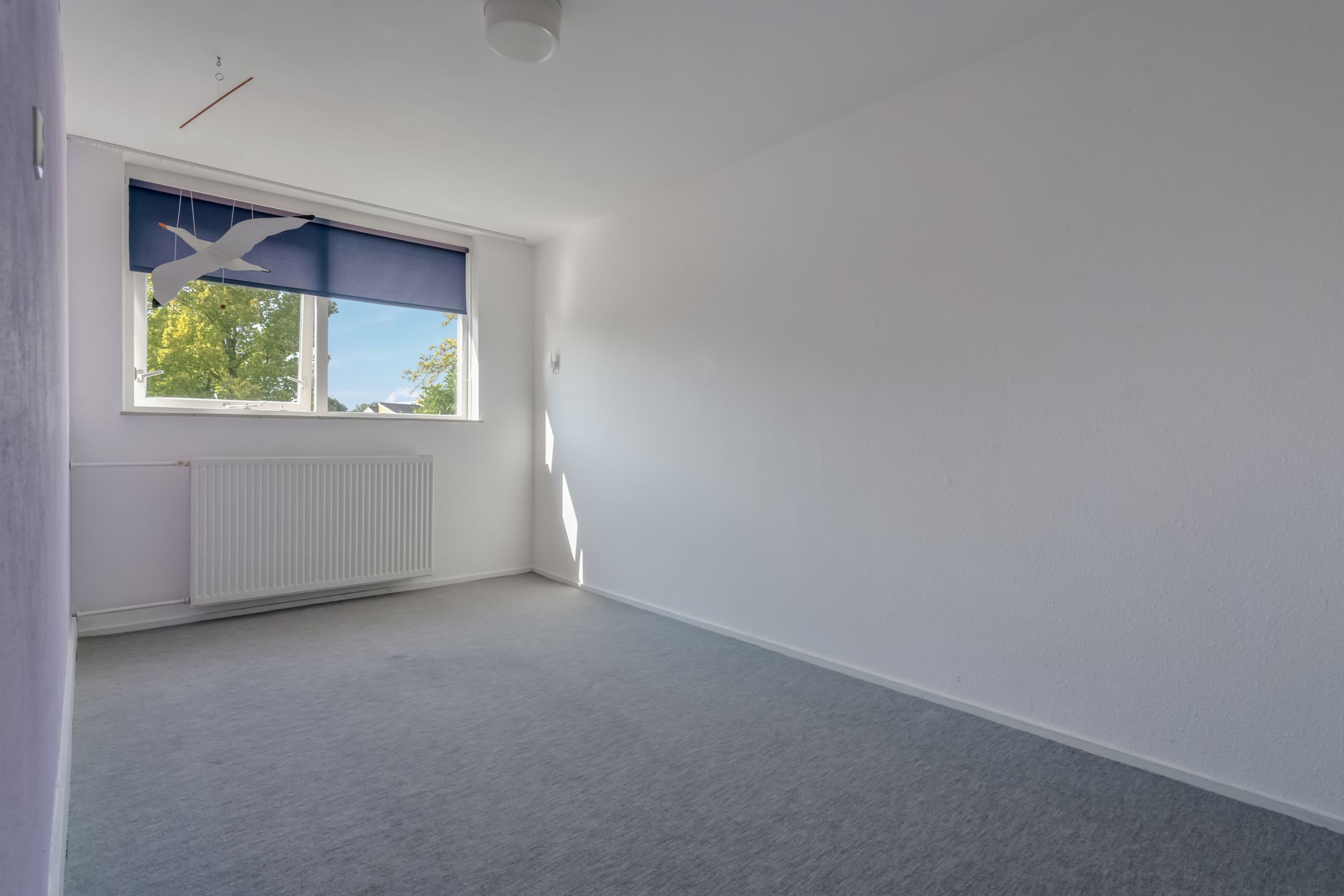 Foto 30 van Klimop 1