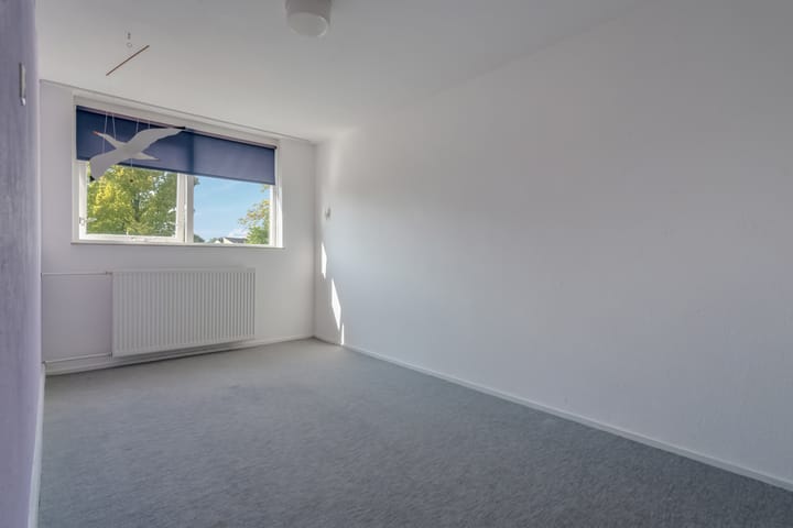 Foto 30 van Klimop 1