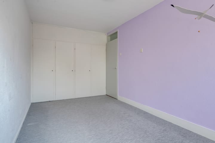 Foto 31 van Klimop 1