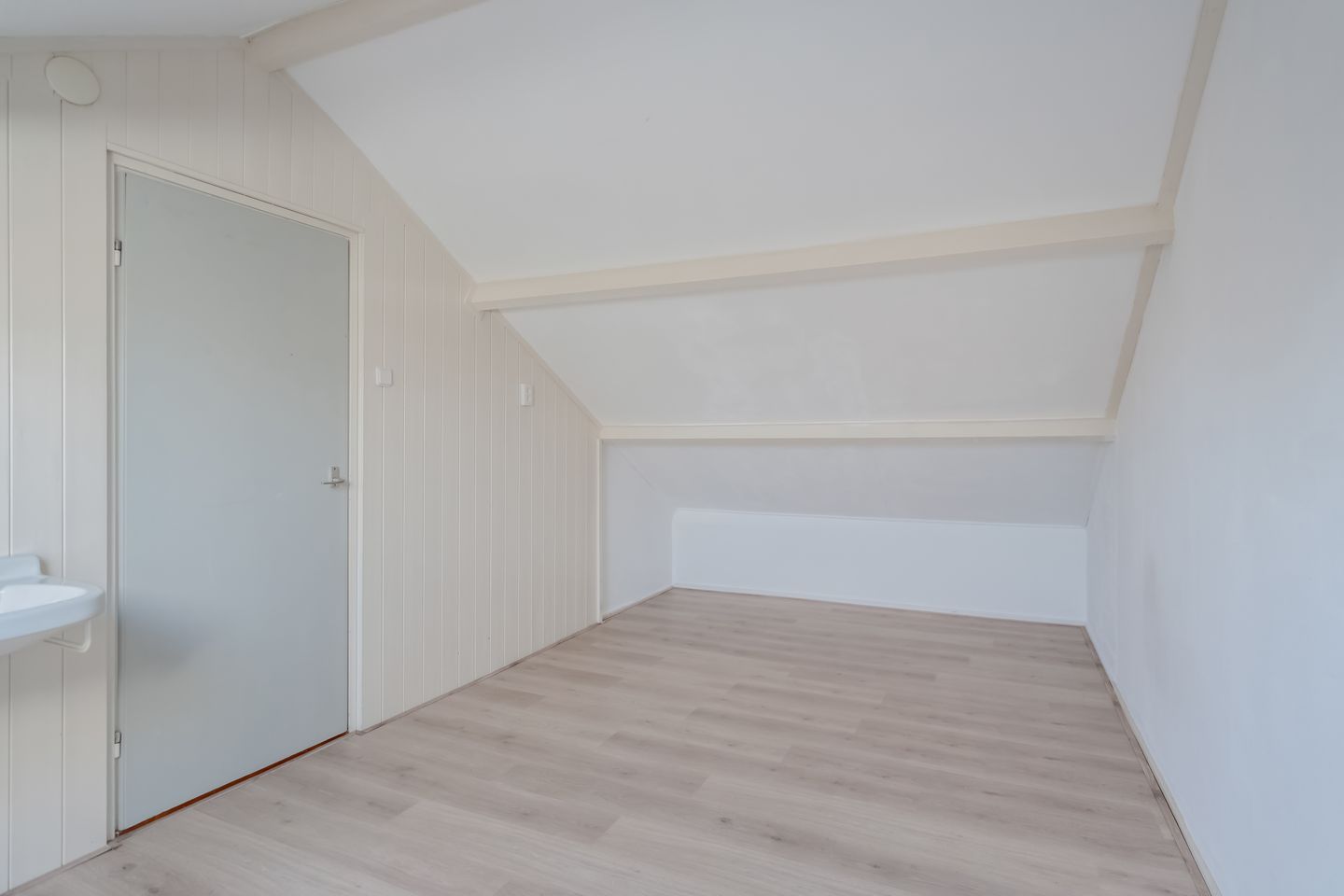 Foto 35 van Klimop 1