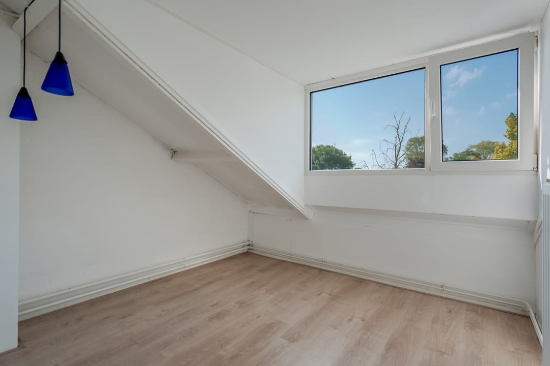 Foto 37 van Klimop 1