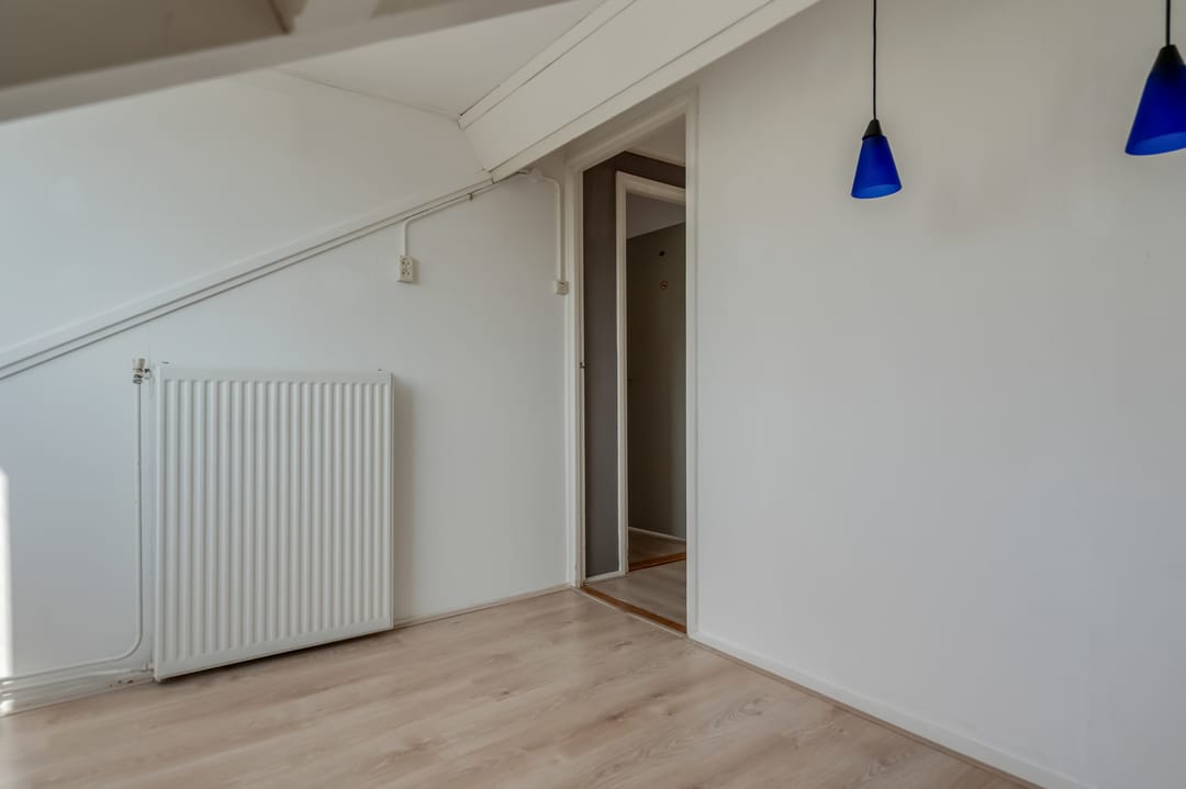 Foto 38 van Klimop 1