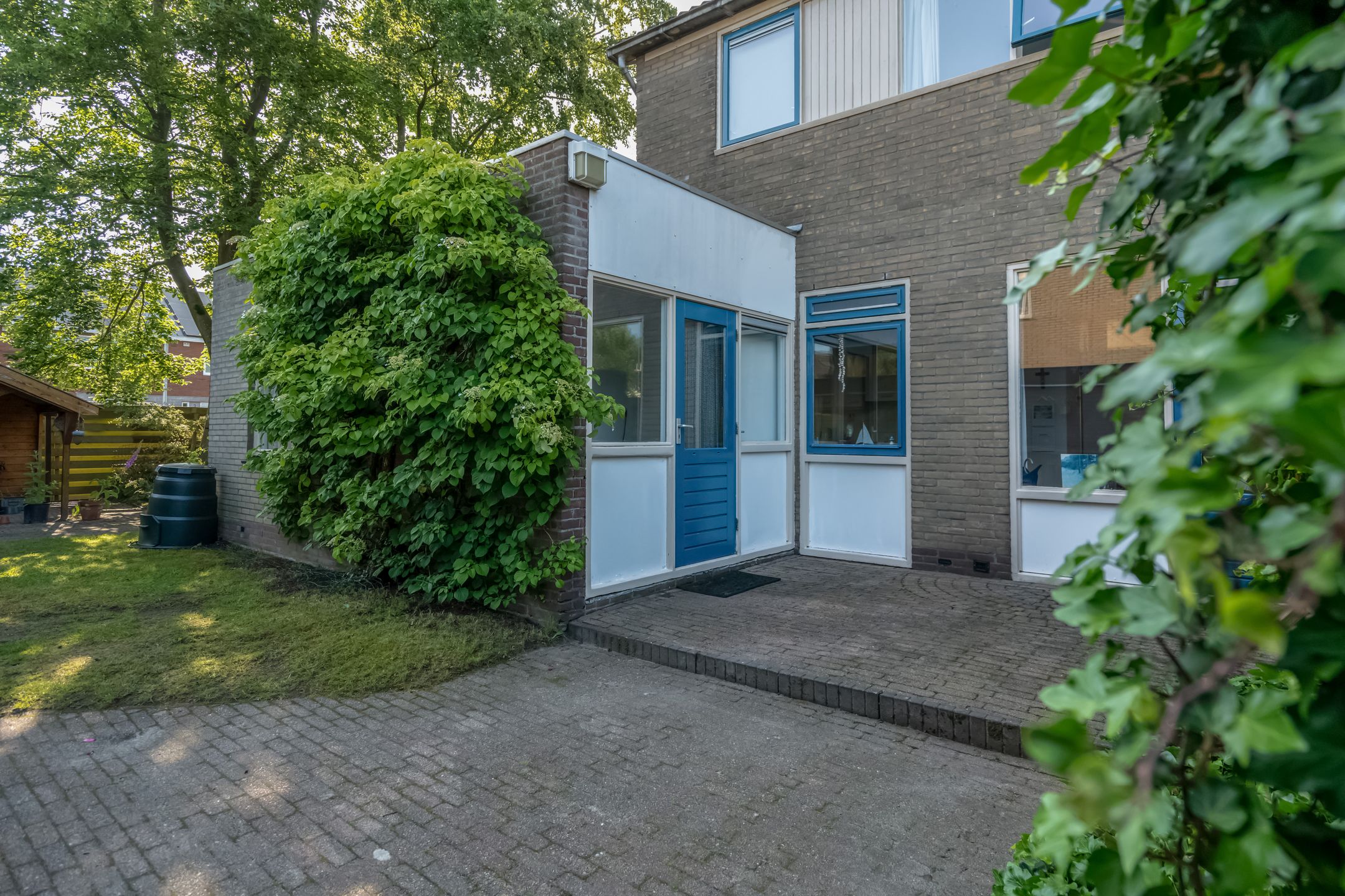 Foto 39 van Klimop 1