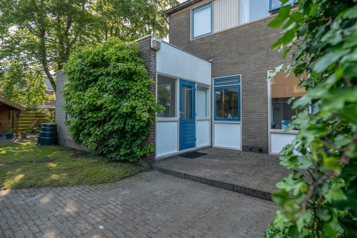 Foto 39 van Klimop 1