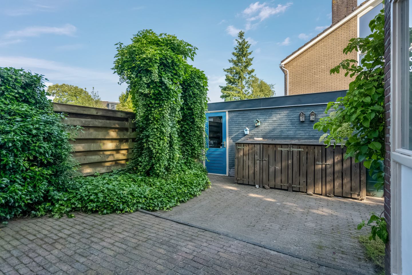 Foto 40 van Klimop 1