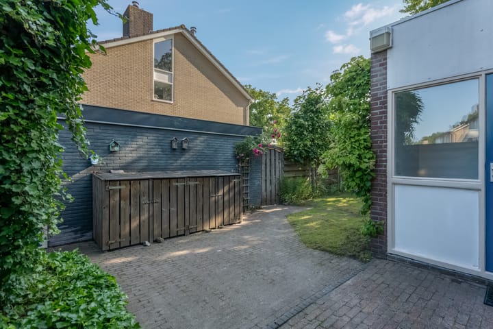 Foto 41 van Klimop 1